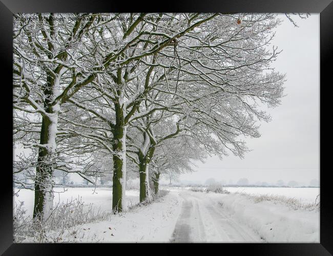 Winter Oak Trees in the Snow Framed Print by Elizabeth Debenham