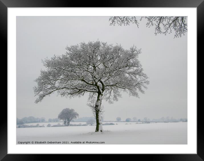 Lone Oak tree in Snow 2 Framed Mounted Print by Elizabeth Debenham