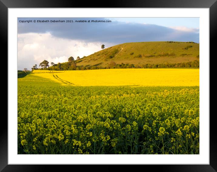 Ivinghoe Beacon rising from yellow rapeseed Framed Mounted Print by Elizabeth Debenham