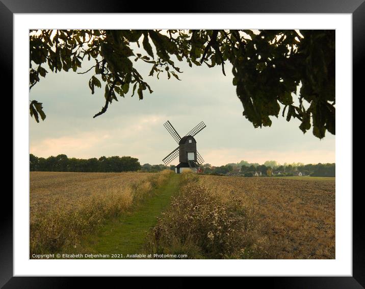 Pitstone Windmill through the tree Framed Mounted Print by Elizabeth Debenham