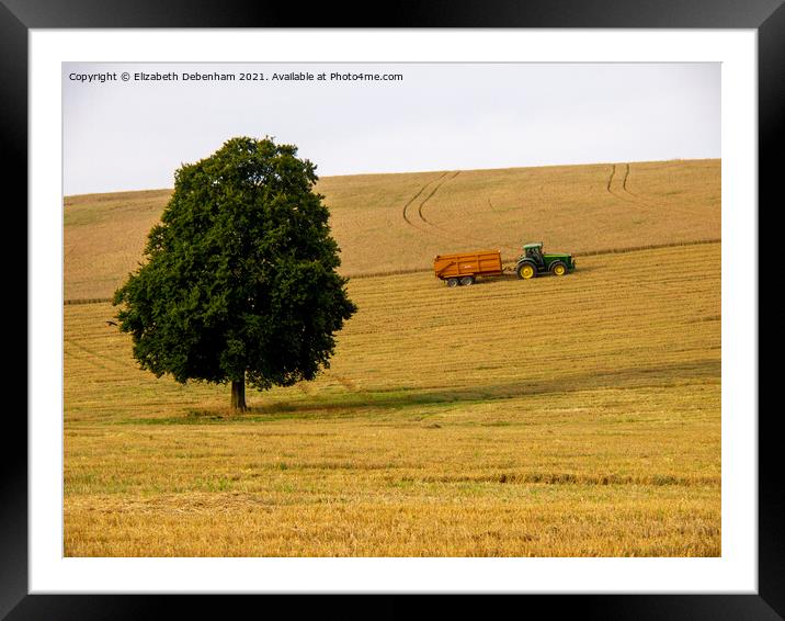 Lone Beech Tree and Tractor Framed Mounted Print by Elizabeth Debenham
