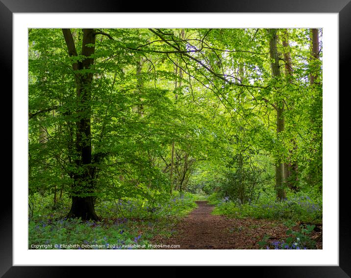 Path through Woodland Glade in Spring Framed Mounted Print by Elizabeth Debenham