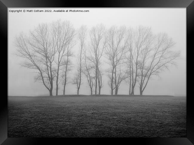 Trees in the mist Framed Print by Matt Cottam
