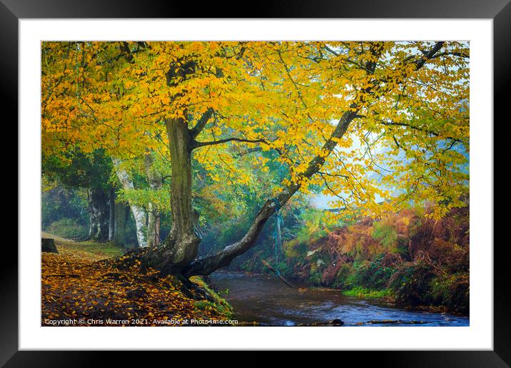 Woodland walk by the river in the New Forest  Framed Mounted Print by Chris Warren