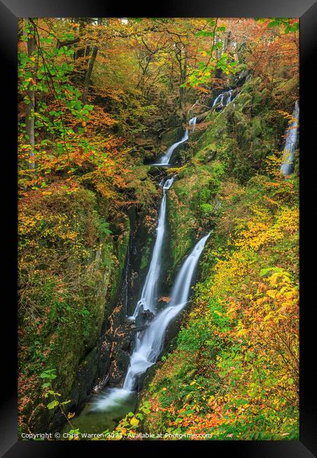 Stock Ghyll Force Lake District in Autumn colour Framed Print by Chris Warren