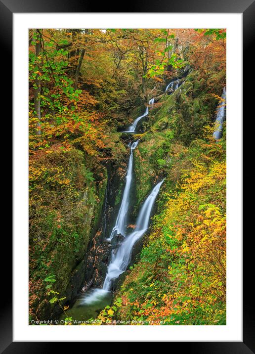Stock Ghyll Force Lake District in Autumn colour Framed Mounted Print by Chris Warren