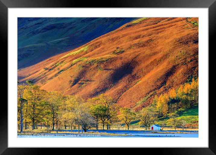 Early morning light at Buttermere in autumn  Framed Mounted Print by Chris Warren
