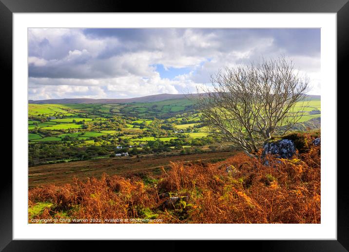 Carningli Mountain Preseli hills Pembrokeshire Framed Mounted Print by Chris Warren