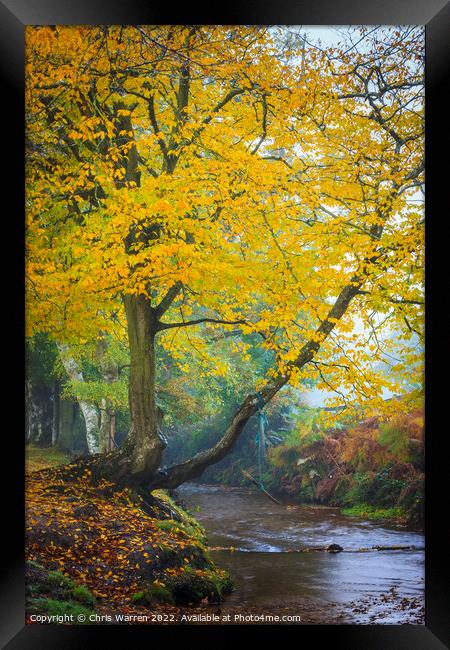 Autumn colour in New Forest Hampshire England Framed Print by Chris Warren