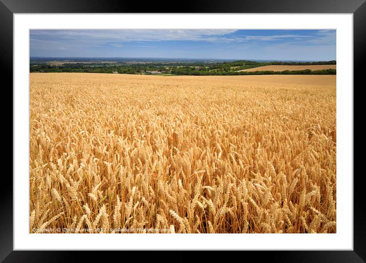 Fields of wheat Lewes East Sussex Framed Mounted Print by Chris Warren