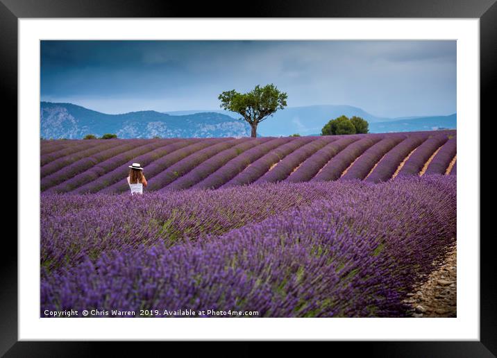 Lady amongst the Lavender fields Provence Framed Mounted Print by Chris Warren