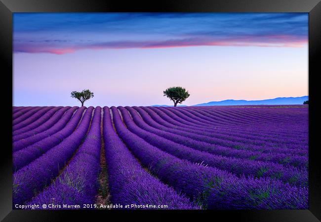 Lavender fields Valensole Provence France Framed Print by Chris Warren