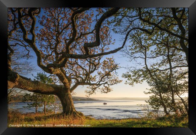 Tranquil river view in Pembrokeshire Framed Print by Chris Warren