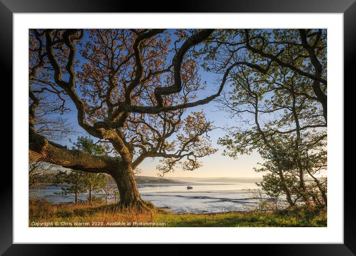 Tranquil river view in Pembrokeshire Framed Mounted Print by Chris Warren