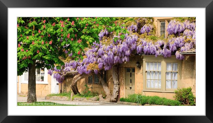 Wisteria in front of a building Framed Mounted Print by Chris Warren