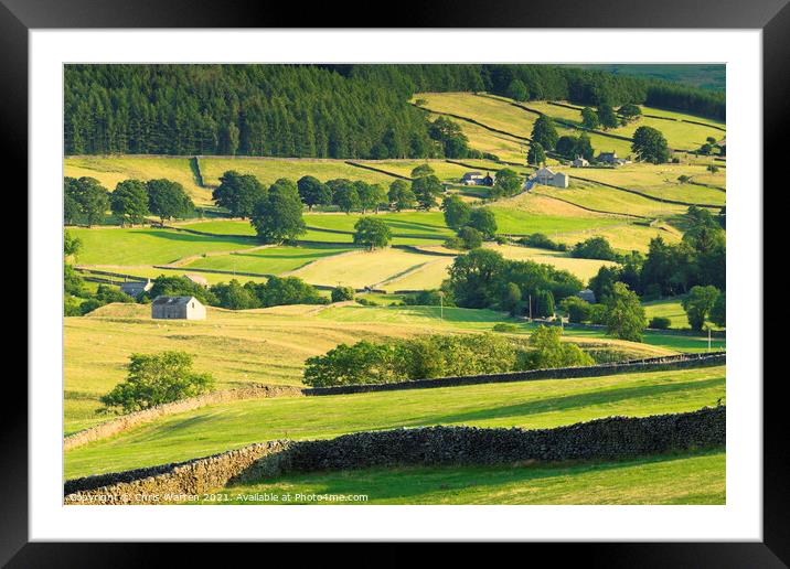 Countryside in Wharfedale North Yorkshire Framed Mounted Print by Chris Warren