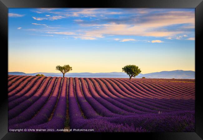 Lavender fields in the early morning Valensole Pla Framed Print by Chris Warren