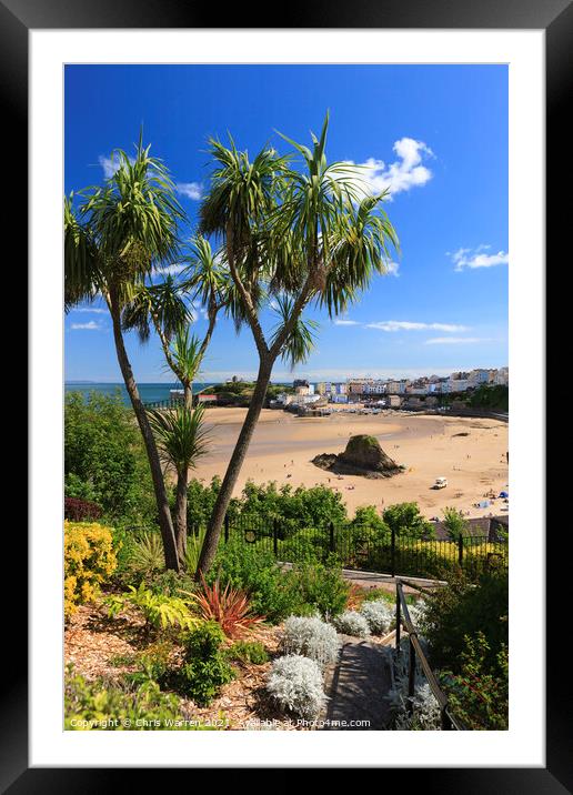 Tenby Harbour & North beach Tenby Pembrokeshire Framed Mounted Print by Chris Warren