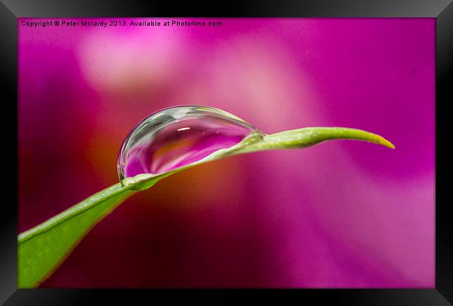 Water droplet ! Framed Print by Peter Mclardy