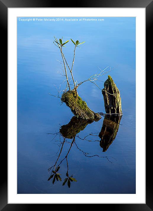 Reflections Framed Mounted Print by Peter Mclardy