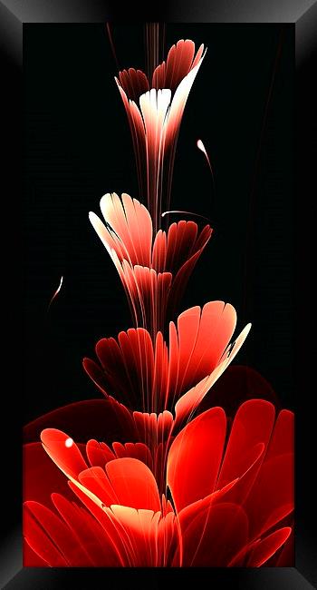 Bright Red Framed Print by Anastasiya Malakhova