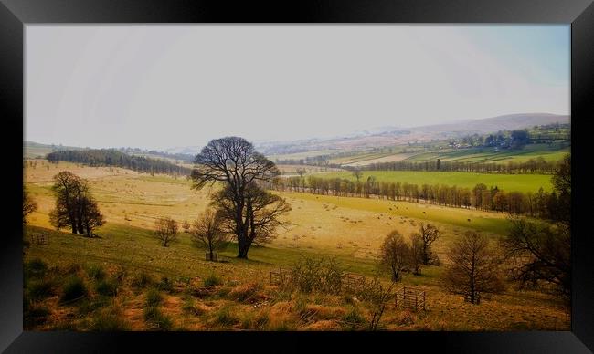 Landscape  Framed Print by Victor Burnside