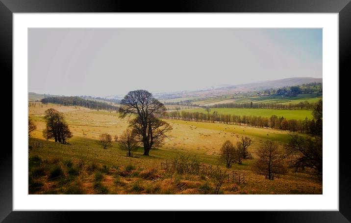 Landscape  Framed Mounted Print by Victor Burnside