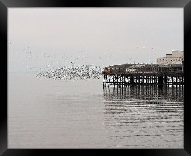 Murmuration Framed Print by Victor Burnside