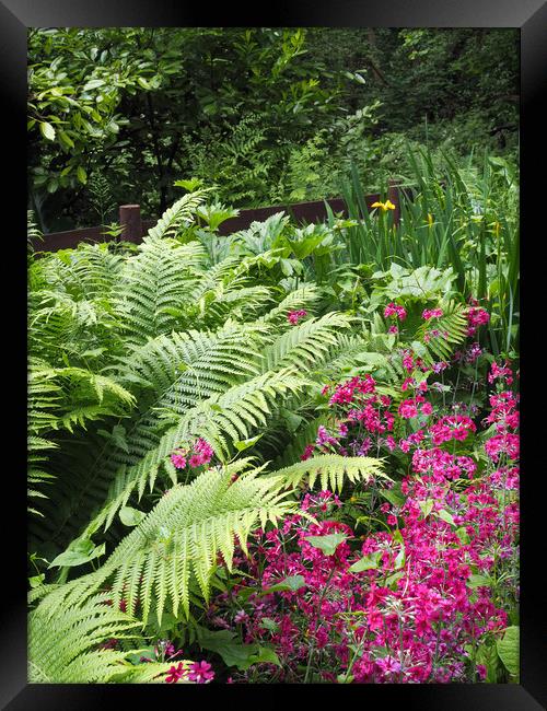 Wetland Garden Framed Print by Victor Burnside