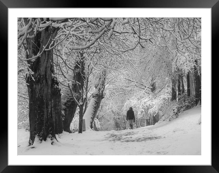 Winter Walk    Framed Mounted Print by Victor Burnside