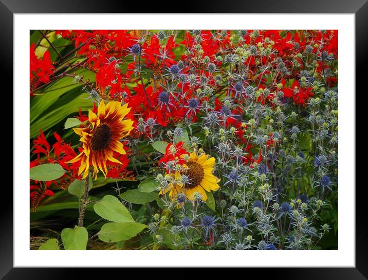 Summer Garden Framed Mounted Print by Victor Burnside