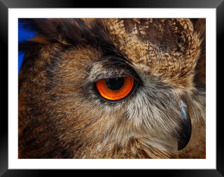 Owl Framed Mounted Print by Victor Burnside