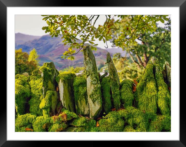 Lake District  Framed Mounted Print by Victor Burnside