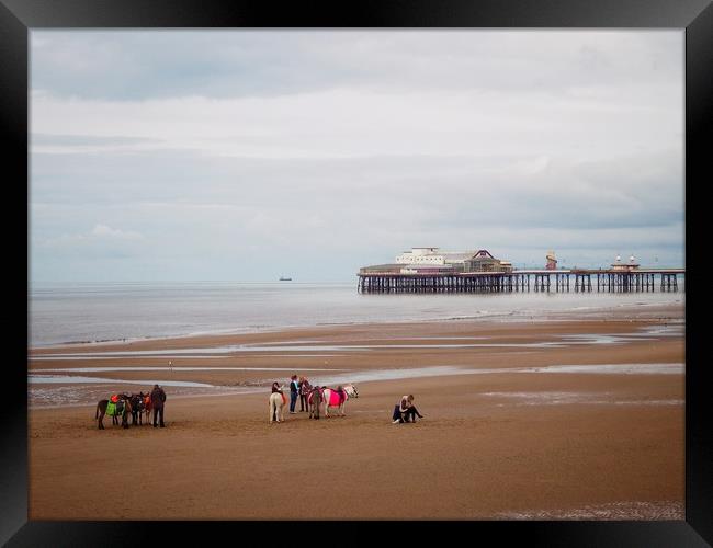 Blackpool Donkeys  Framed Print by Victor Burnside