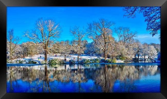 Park in Winter  Framed Print by Victor Burnside