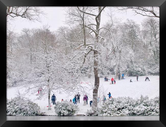 Park In Winter      Framed Print by Victor Burnside