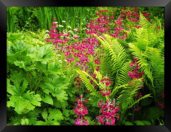 Wetland Garden        Framed Print by Victor Burnside