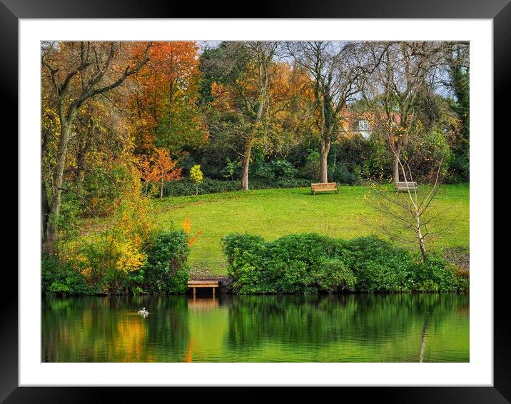 English Park in Autumn  Framed Mounted Print by Victor Burnside
