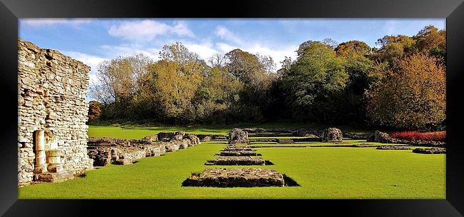 Lesnes Abbey, 11th Century Ruins Framed Print by Robert Cane