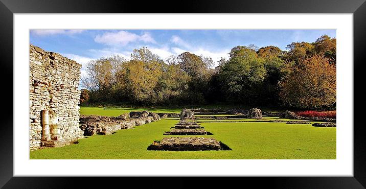 Lesnes Abbey, 11th Century Ruins Framed Mounted Print by Robert Cane