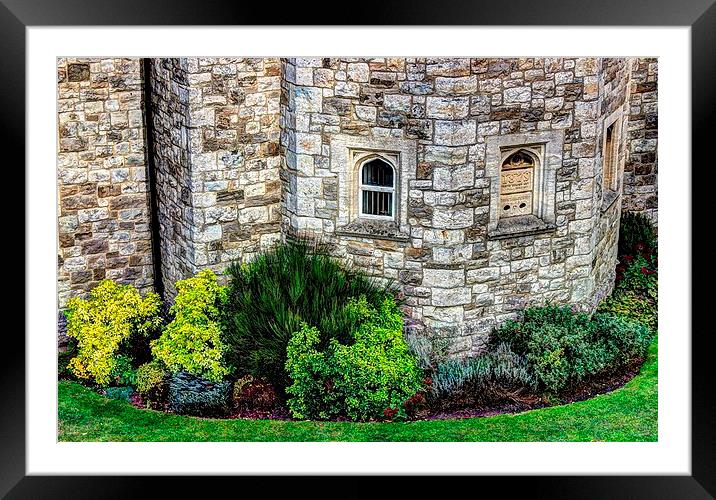 Shrubbery by the castle wall. Framed Mounted Print by Robert Cane