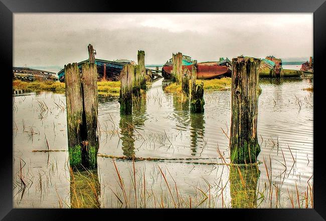 Hoo Marina, Kent, Wrecked Boats Framed Print by Robert Cane