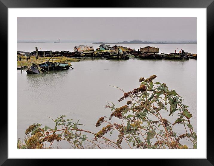 Hoo Marina, Kent, Wrecked Boats Framed Mounted Print by Robert Cane