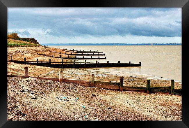 Isle of Grain, Kent, Beach View Framed Print by Robert Cane