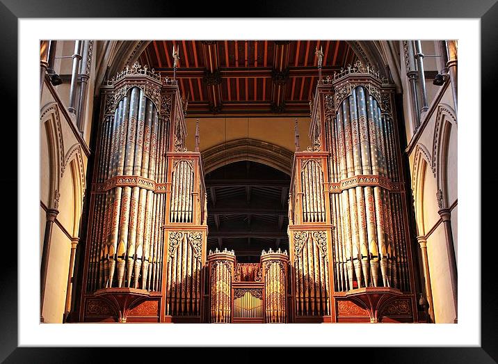 Rochester Cathedral, Organ Pipes Framed Mounted Print by Robert Cane