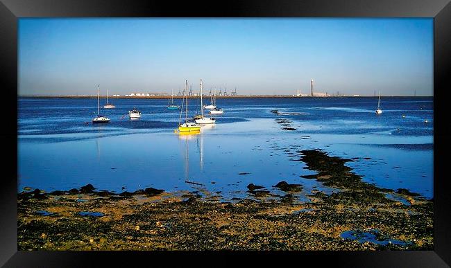 Lower Halstow, Medway, Yachts Framed Print by Robert Cane