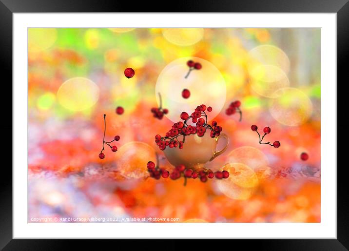 Rowanberries with Colorful Background Framed Mounted Print by Randi Grace Nilsberg