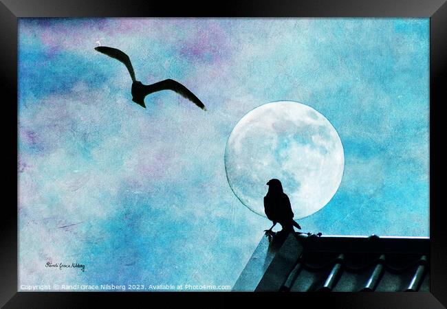 Night on the Roof Framed Print by Randi Grace Nilsberg