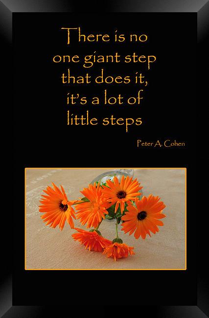 Little Steps Framed Print by Randi Grace Nilsberg