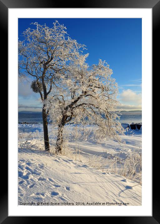 Winter Glory Framed Mounted Print by Randi Grace Nilsberg